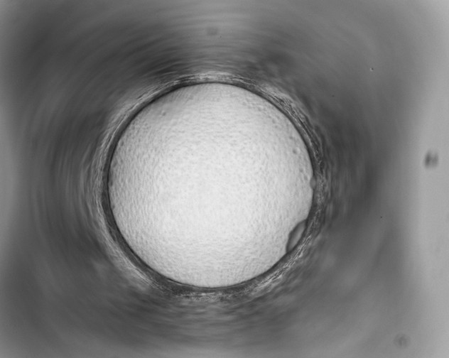 X0000103480049200810031552