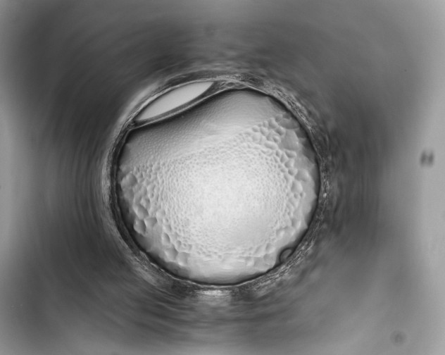 X0000103480053200810031552