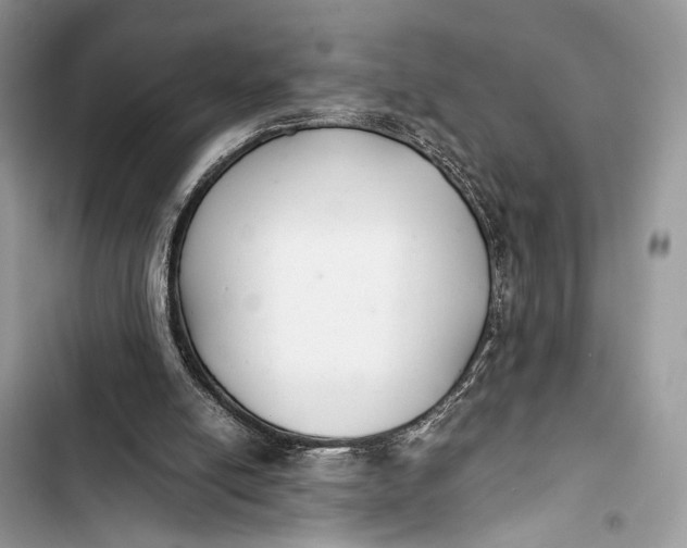 X0000103480054200810031552