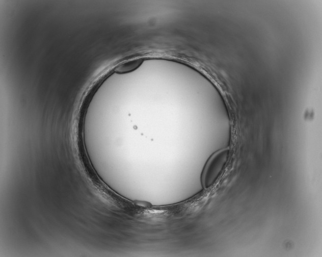 X0000103480055200810031552