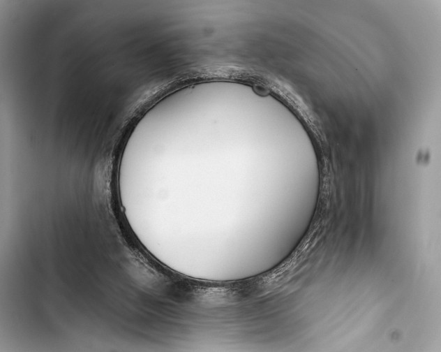 X0000103480058200810031552