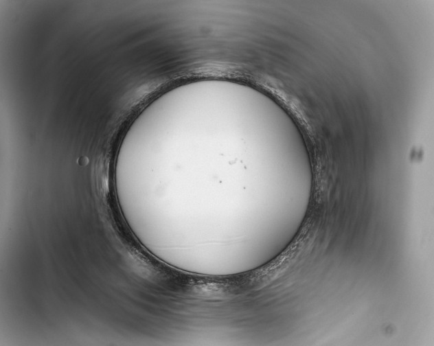 X0000103480062200810031552