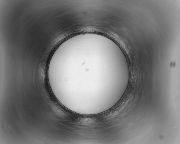 X0000103480063200810031552