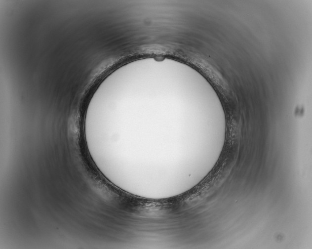 X0000103480064200810031552