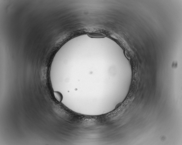 X0000103480066200810031552