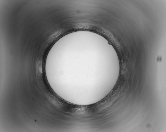 X0000103480068200810031552