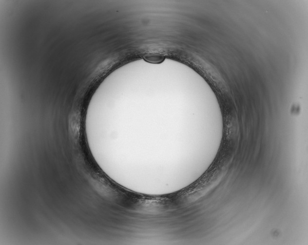 X0000103480072200810031552