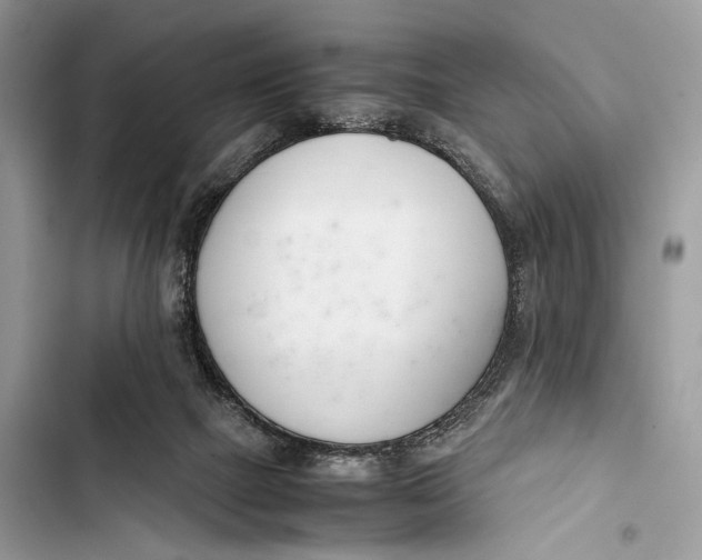 X0000103480073200810031552