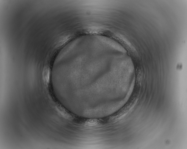 X0000103480076200810031552
