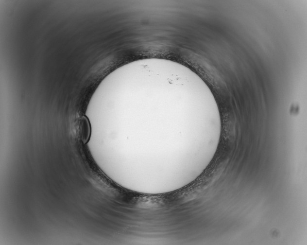 X0000103480077200810031552