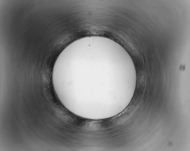 X0000103480078200810031552