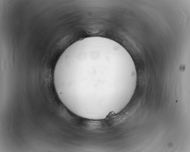X0000103480085200810031552