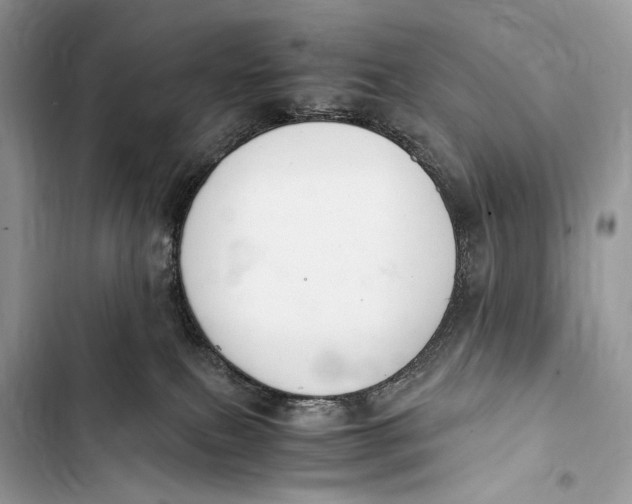 X0000103480087200810031552