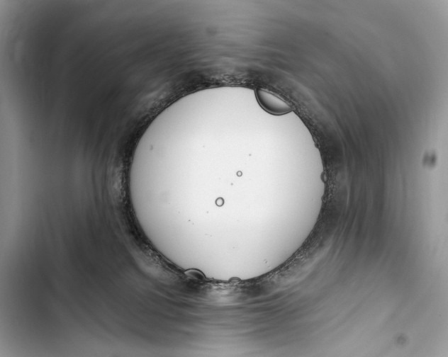 X0000103480088200810031552