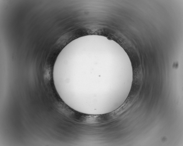 X0000103480090200810031552