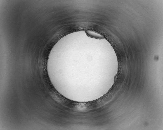 X0000103480091200810031552