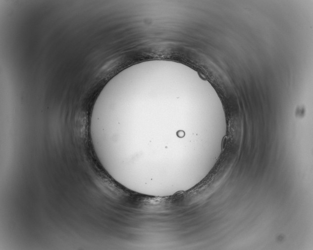 X0000103480092200810031552