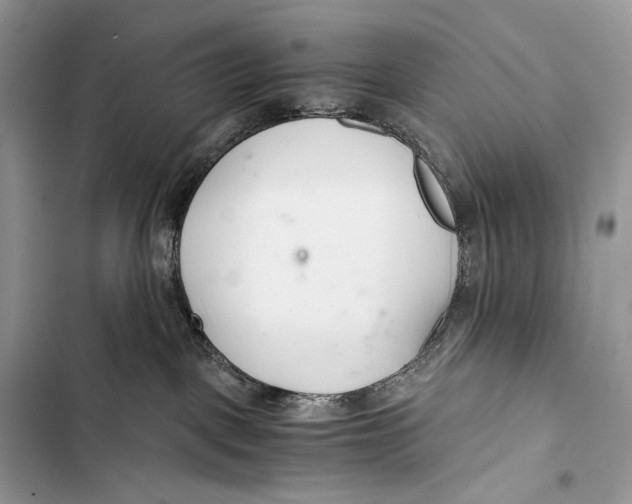 X0000103480093200810031552