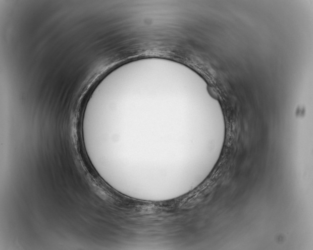 X0000103480098200810031552