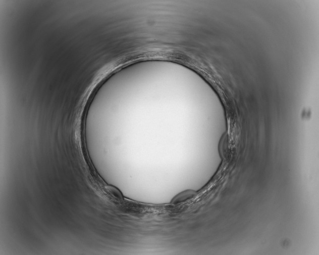 X0000103480099200810031552