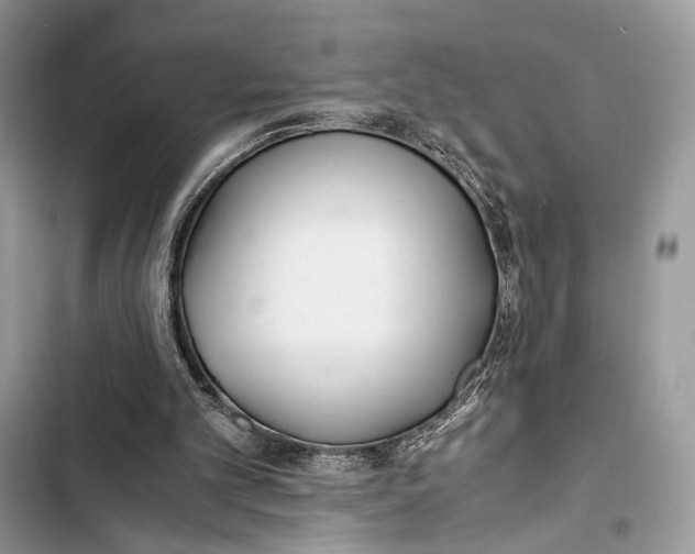 X0000103480101200810031552