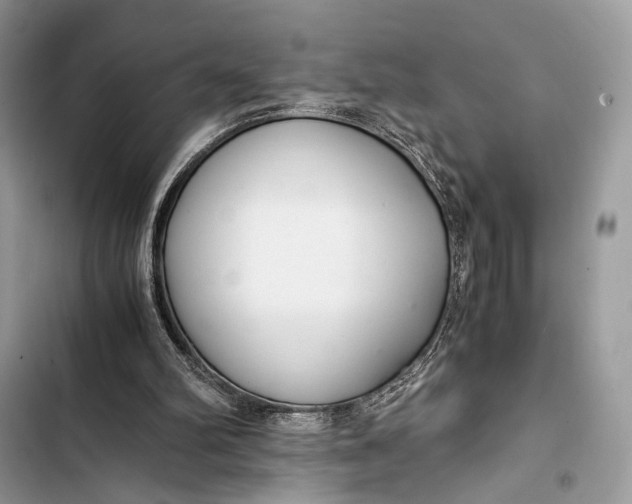 X0000103480102200810031552