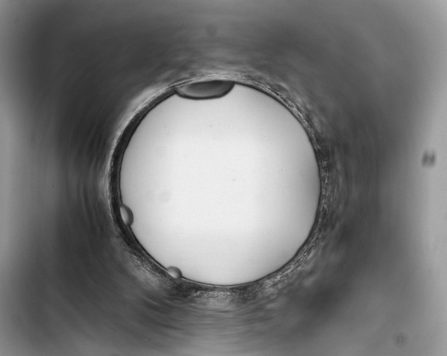 X0000103480104200810031552