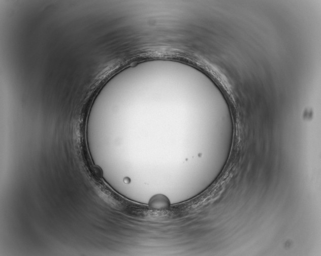 X0000103480105200810031552