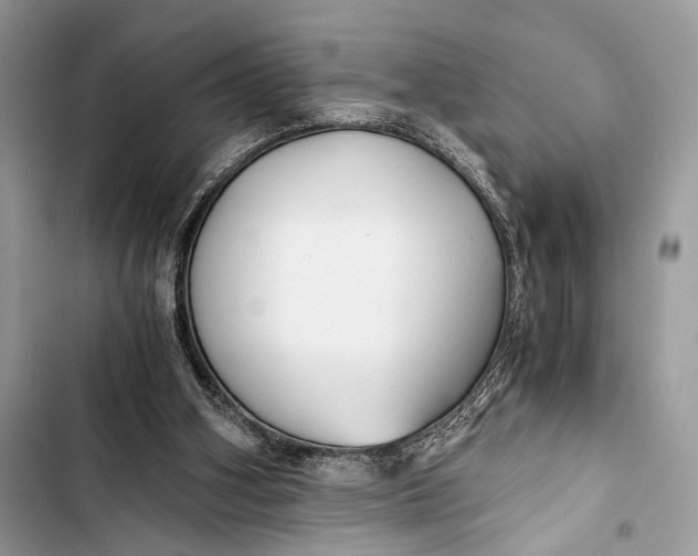 X0000103480106200810031552