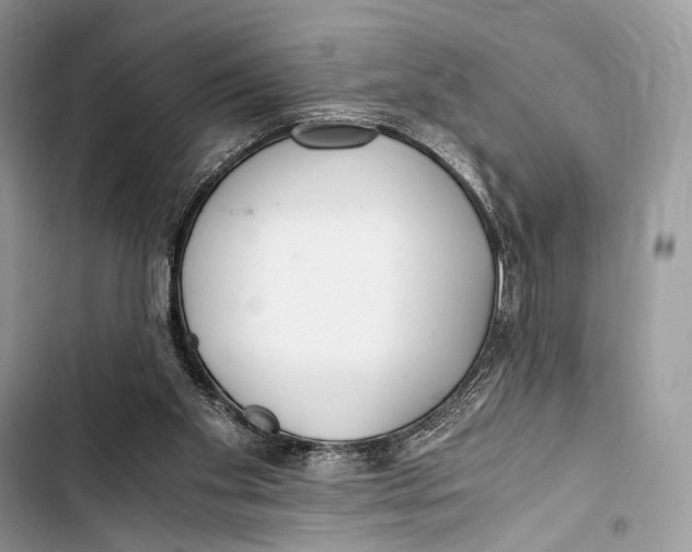 X0000103480109200810031552