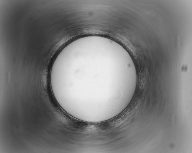 X0000103480111200810031551