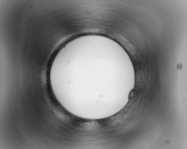 X0000103480112200810031551