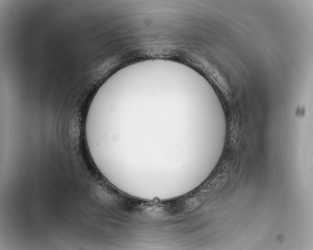 X0000103480113200810031551