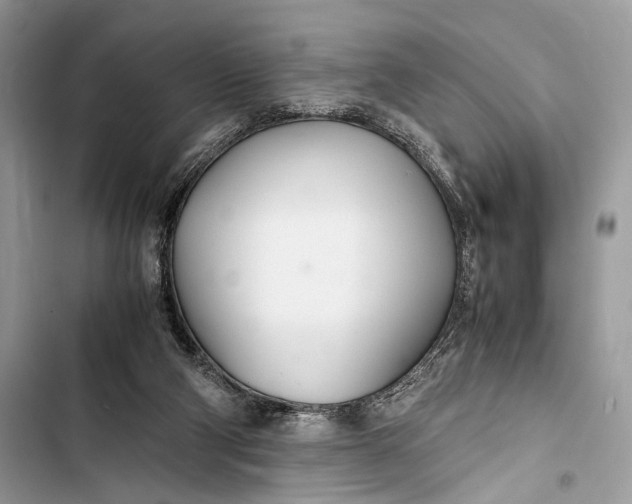 X0000103480114200810031551