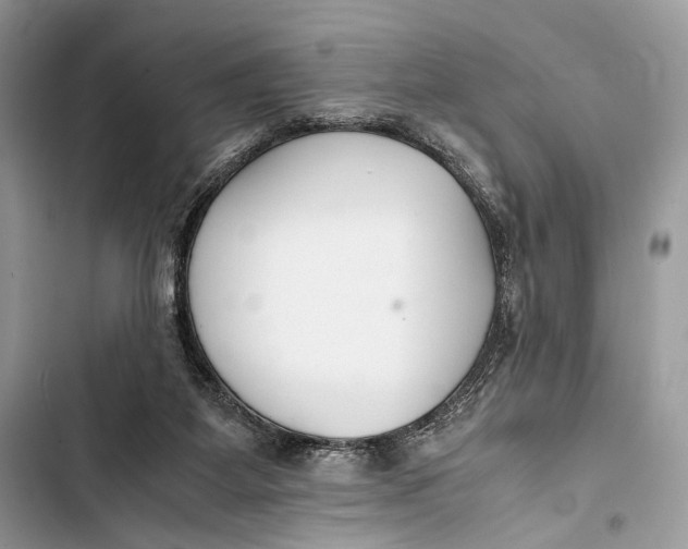 X0000103480115200810031551