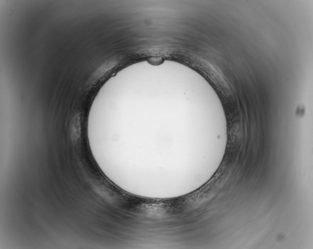 X0000103480120200810031551