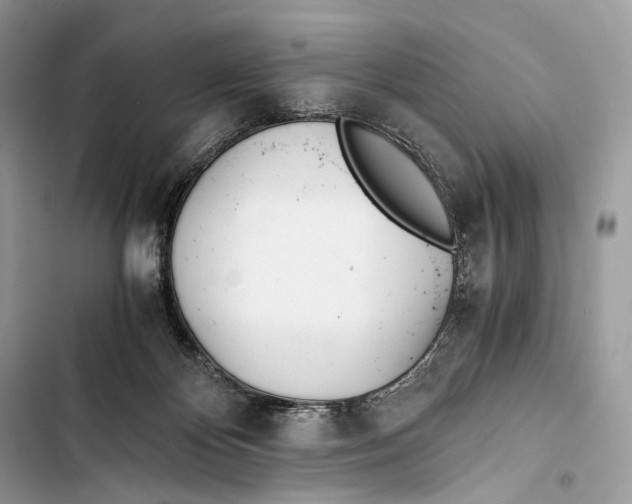 X0000103480124200810031551