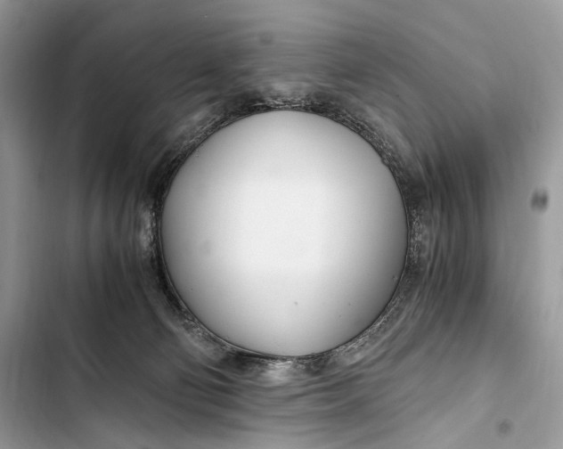 X0000103480130200810031551