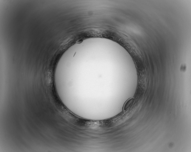 X0000103480131200810031551