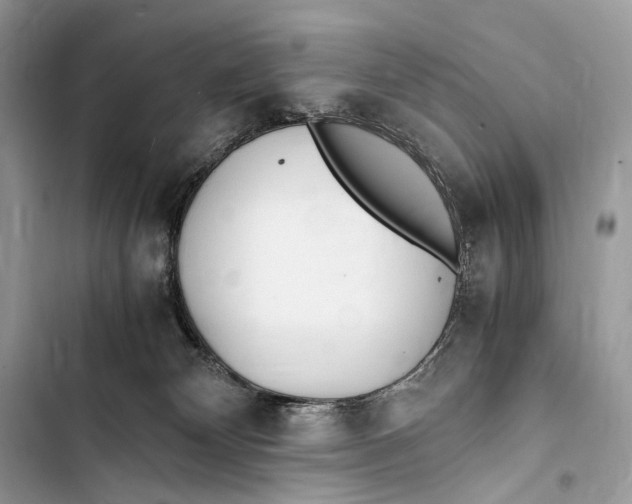 X0000103480132200810031551