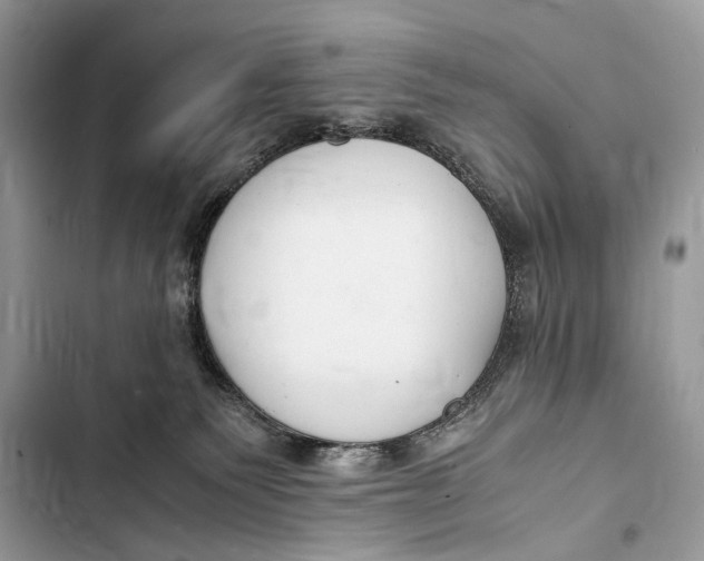 X0000103480135200810031551