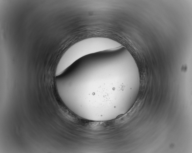 X0000103480136200810031551