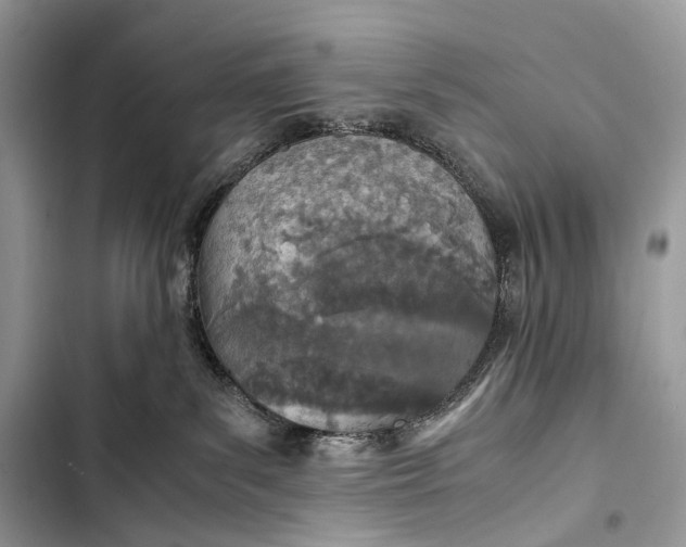 X0000103480139200810031551