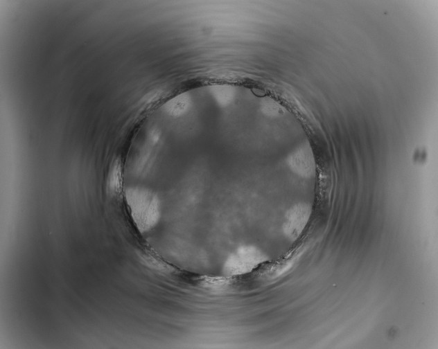 X0000103480143200810031551