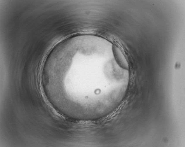 X0000103480145200810031550