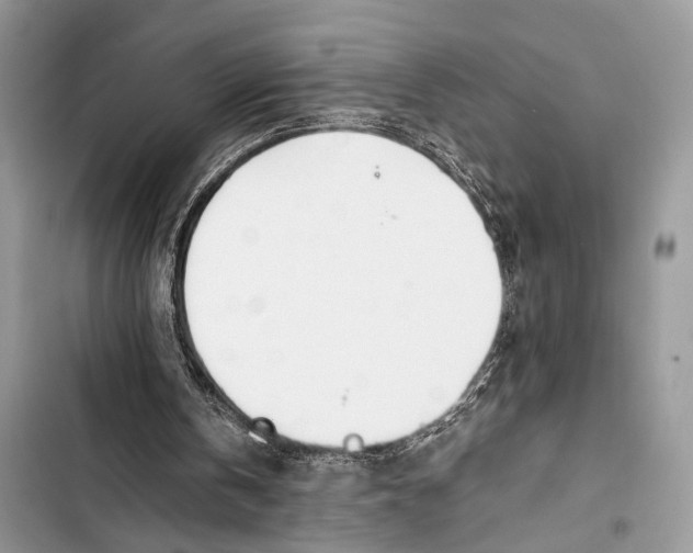 X0000103480146200810031550