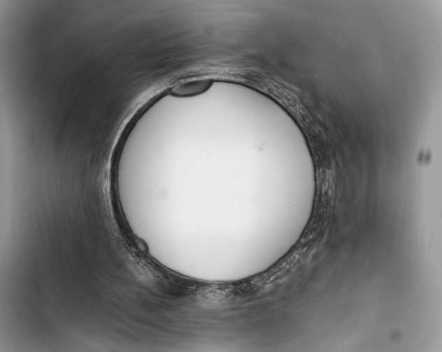 X0000103480148200810031550