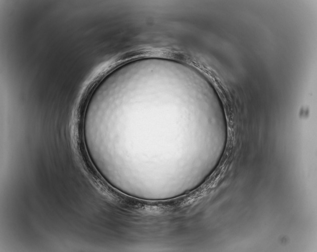 X0000103480149200810031550