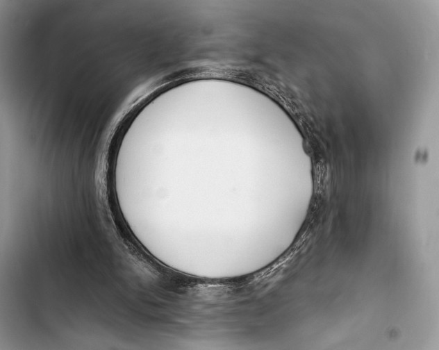 X0000103480150200810031550