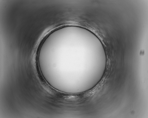 X0000103480151200810031550